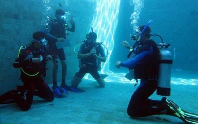 Dive Today