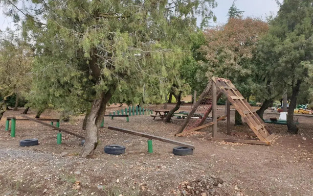 פינה חמה ברמה