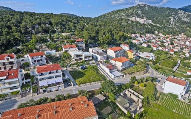 Violeta Hvar