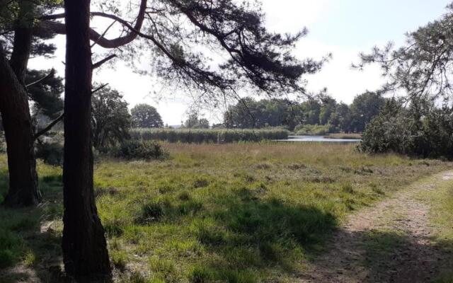 Drentse bungalow in natuur en rust