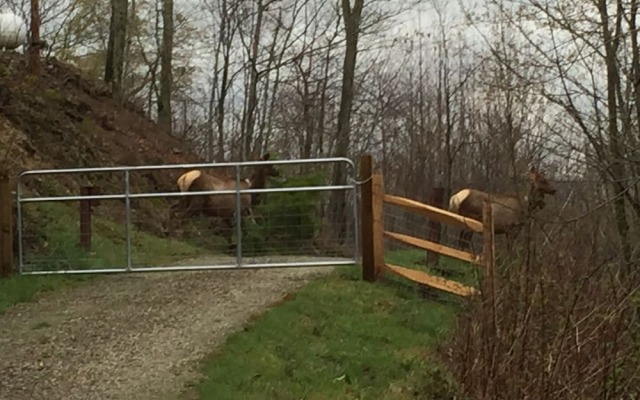 Blue Ridge Barkway - 3 Br Home