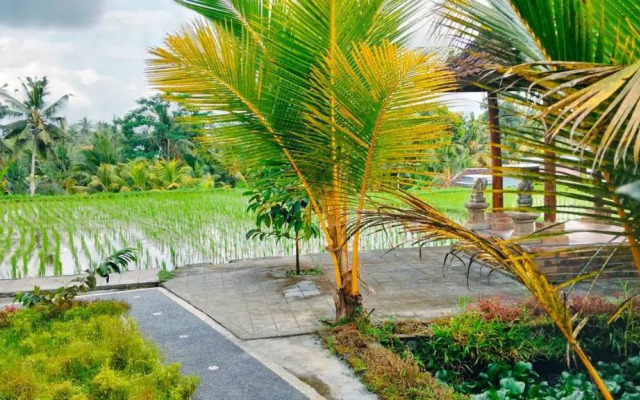 Srijaya Ubud