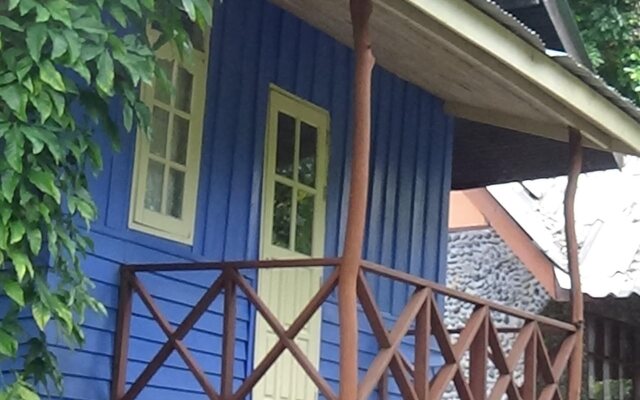 Tree Top River Huts