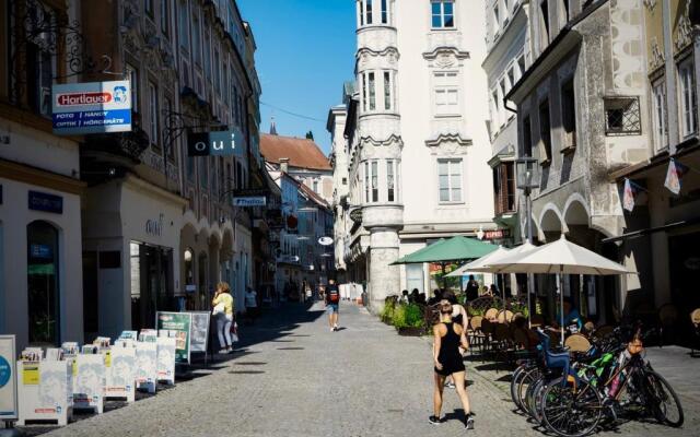 Steyr City Apartment mit 2 Schlafzimmer