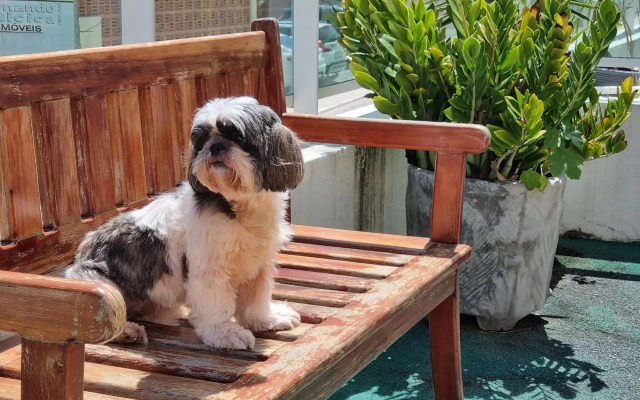 Areias do Mar | 2 Quartos Garden Familia A113