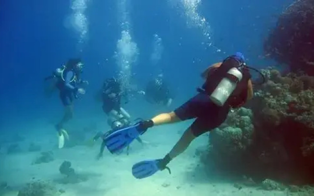 14 Bahia Playa Almadraba