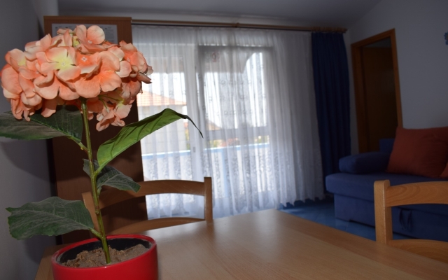 Apartment Den - with pool: C3 Tribunj, Riviera Sibenik