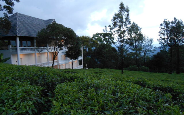 Tea Harvester Munnar