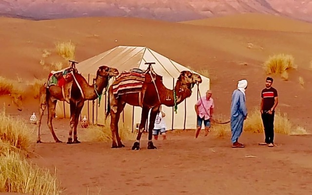 Bivouac Les Dunes De Tinfou