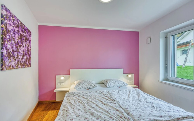 Wellness Suite Viola