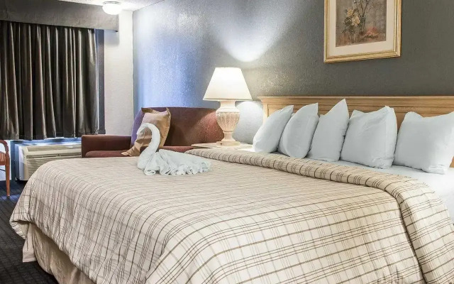 Rodeway Inn Metro Airport