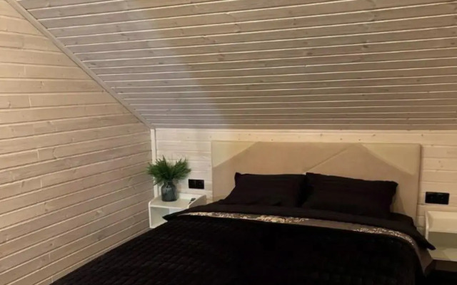 DACHA Eco-house