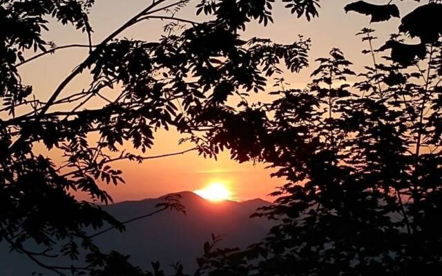 Rossfeld Modern Retreat