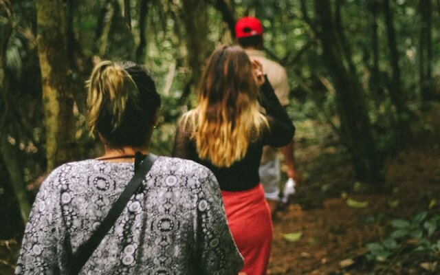 Saboga Lodge and Villa Noelia