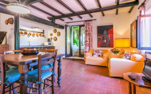 Bardeggiano - Caterina 5 (COL241)