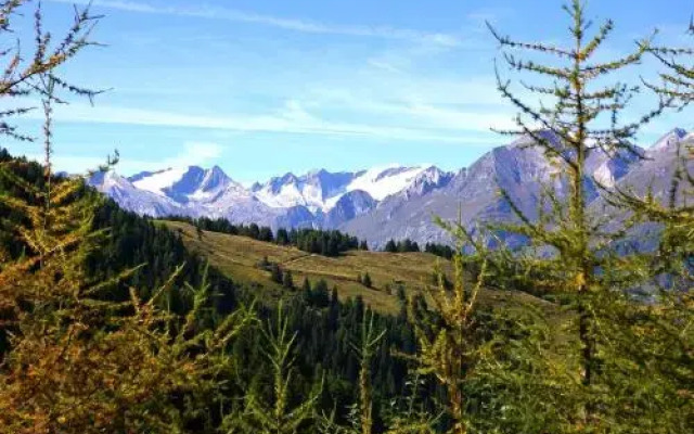 Apartments Schloß-Weißenstein-Straße
