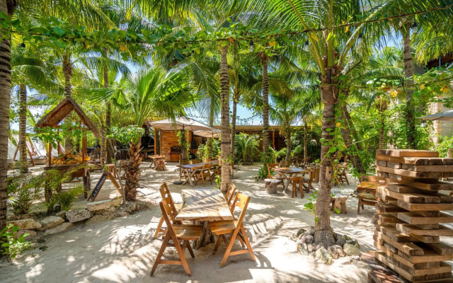 Mayan Monkey Isla Mujeres | Social Hotel
