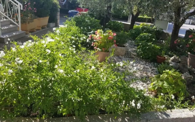 Dorica - Flower Garden - A1