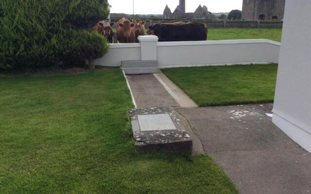 Naomh Colman B&B