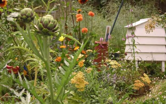 Thimbles Bed & Breakfast