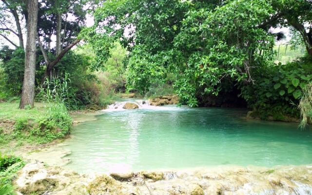 Room in Lodge - Sierraverde Cabin "cabaña el Cedro"