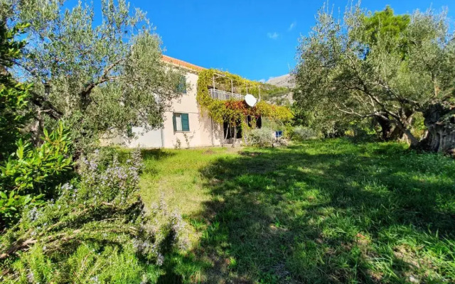 Vacation Home In Slano Near Dubrovnik