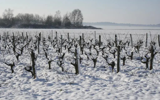 Chambres d'hï¿½tes Le Clos du Puits