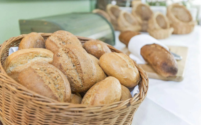 Spree-Waldhotel Cottbus