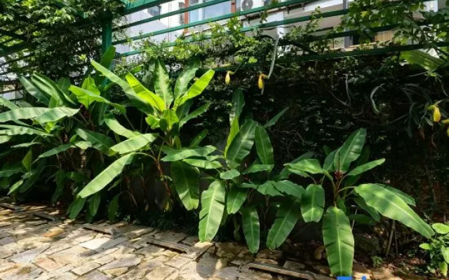 Yunpu Nanqi Rainforest Zhendi (Manting Park) — hotel in Xishuangbanna