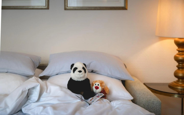 Rheinhotel Dreesen