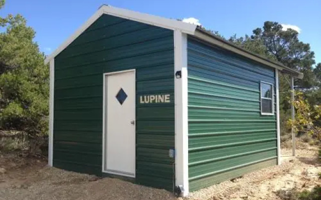 Lupine Cabin