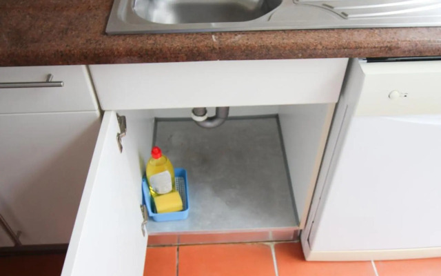 Oriente DNA Studios VI