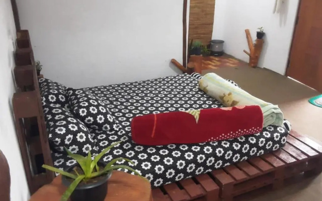 20/20 wood cabana