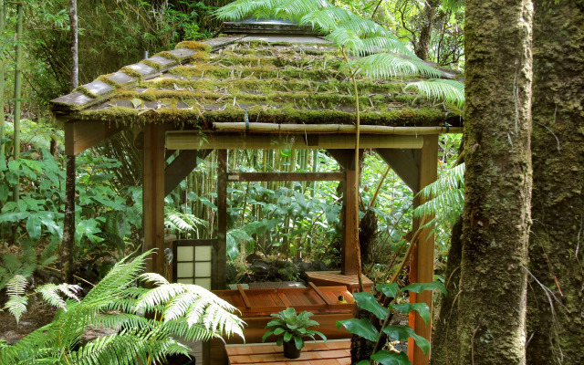 Volcano Rainforest Retreat
