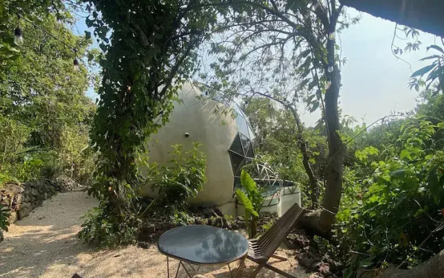 Bosque Geométrico