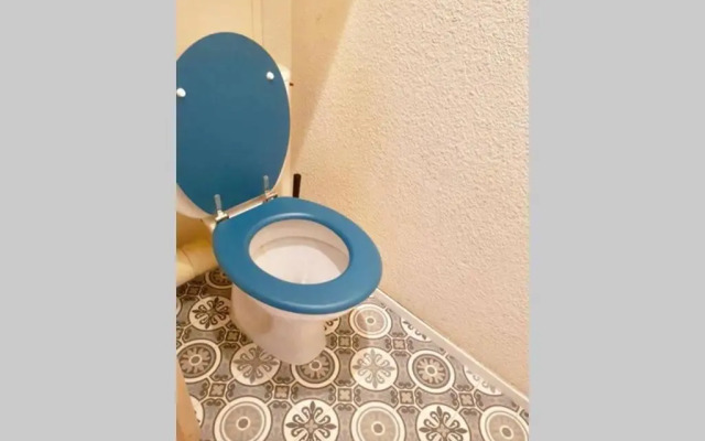 Les 2 alpes, charmant et authentique 4-6 personnes