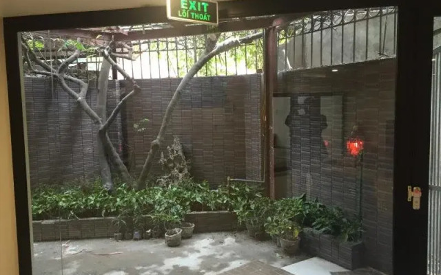 Tulip Hotel