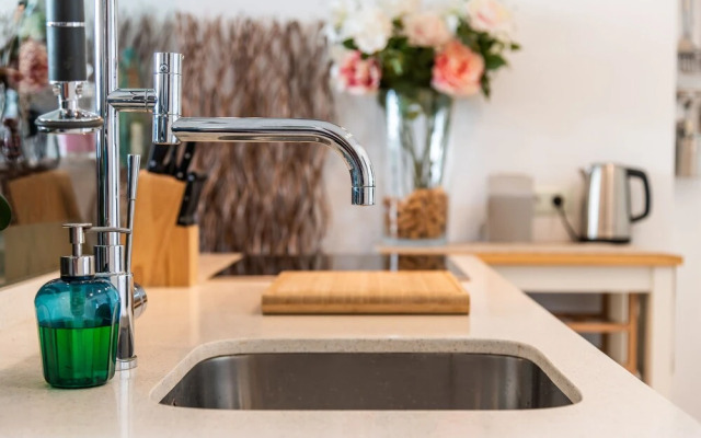 1209 Las Olas Palm Mar