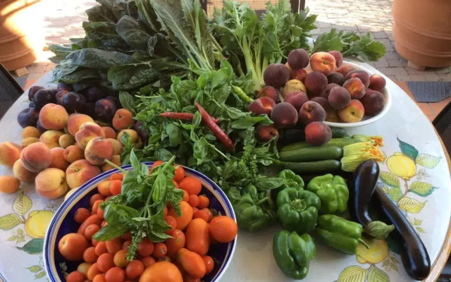 Campo dei Lupi Agriturismo