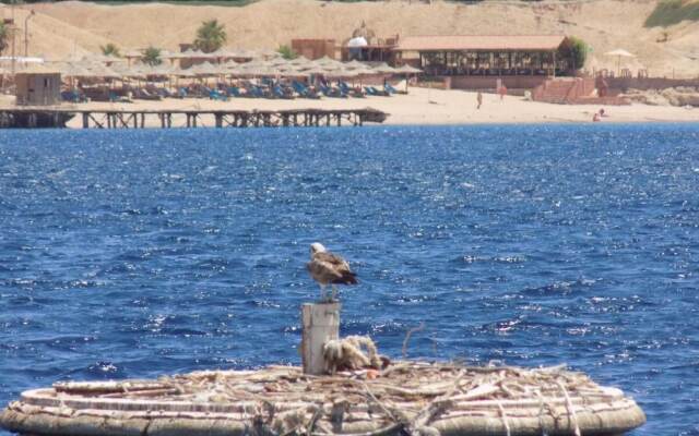 Jewel Sharm El Sheikh Hotel