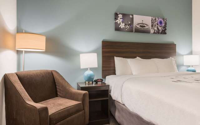 Sleep Inn & Suites Webb City