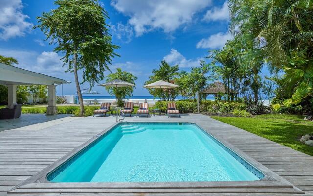 High Trees Blue Sky Luxury