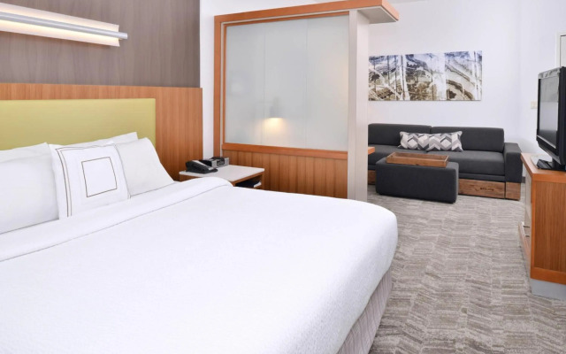 SpringHill Suites by Marriott Ashburn Dulles North
