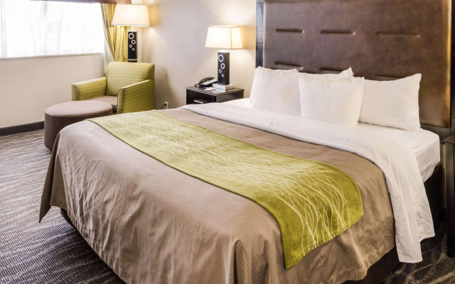 Comfort Inn Downtown Charleston