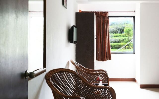 Treebo Hummingbird Nest