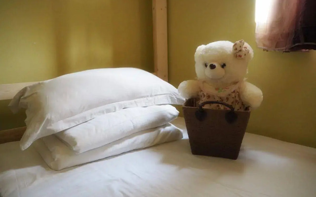 Lutuo Hostel Jinqiao