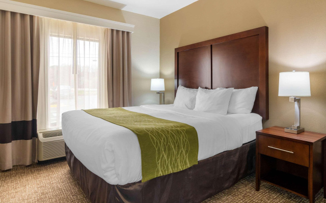 Comfort Inn & Suites Griffin North