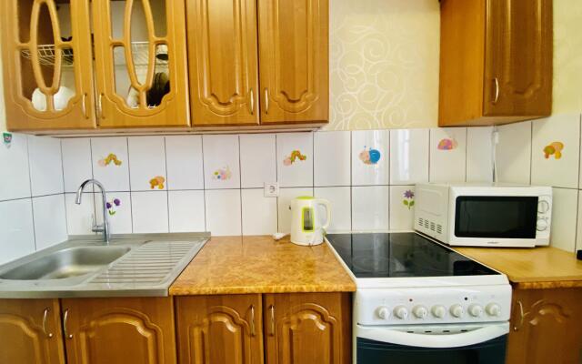 Apartment North on Sovetskaya str., 108