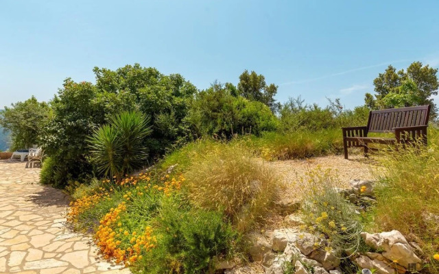 Hedera Estate, House Hedera
