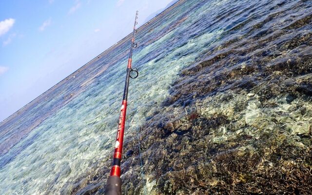 Blue Ocean Resort